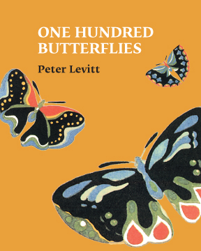 100 Butterflies